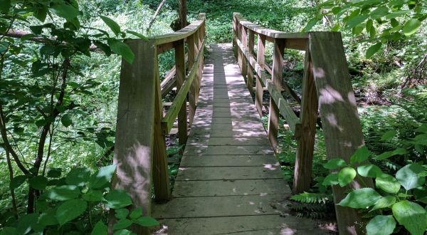 Take An Easy Loop Trail To Enter Another World At Mineral Springs Trail In Pennsylvania