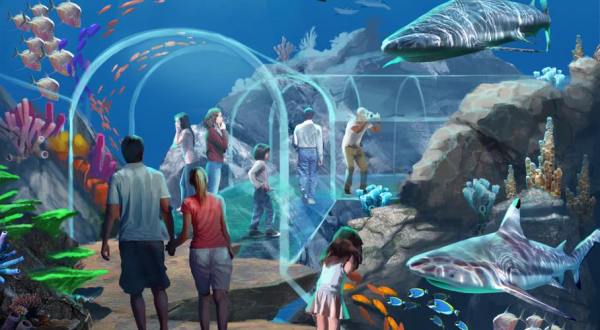 The Mississippi Aquarium Is Opening In April And You’ll Want To Visit  