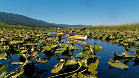 Paddle 9.5 Miles Through A Freshwater Marsh On The Upper Klamath Canoe Trail