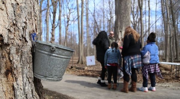 The For-Mar Maple Syrup Festival Has Got To Be The Sweetest Way You Can Spend A Day Near Detroit