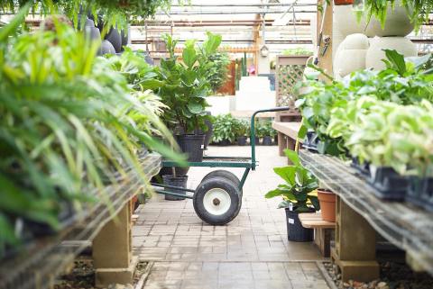 Plant Lovers Won’t Be Able To Resist The Gardening Paradise At Tonkadale Greenhouse In Minnesota