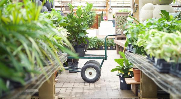 Plant Lovers Won’t Be Able To Resist The Gardening Paradise At Tonkadale Greenhouse In Minnesota