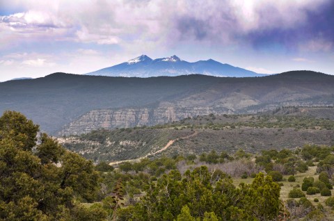 Hike Through Desert, Pine Trees, Mesas, And Ancient Volcanoes In Arizona's Coconino National Forest