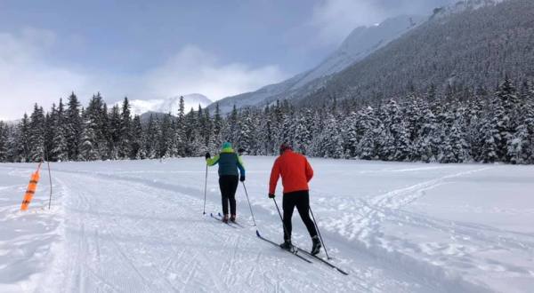Take Your Spring Cross Country Skiing To Moose Meadows In Alaska