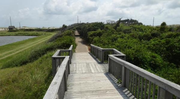 The North Pond Trail Is A Boardwalk Hike In North Carolina That Leads To A Secret Scenic View