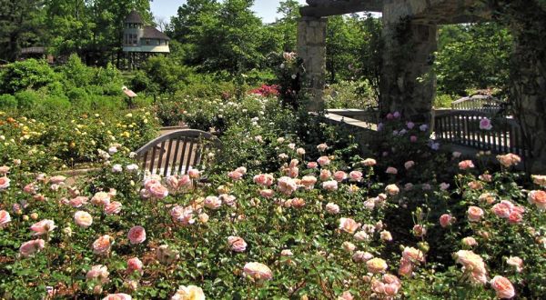 118 Acres Of Beautiful Roses Await You At The Gardens Of The American Rose Center In Louisiana