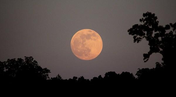 Witness The Absolutely Gigantic Full Supermoon From Your Backyard In Georgia In Early April