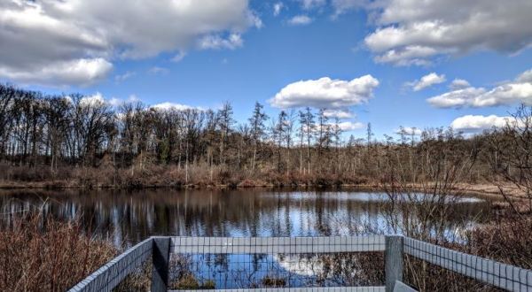 Triangle Lake Bog The Most Remote, Isolated Spot Close To Cleveland And It’s Positively Breathtaking