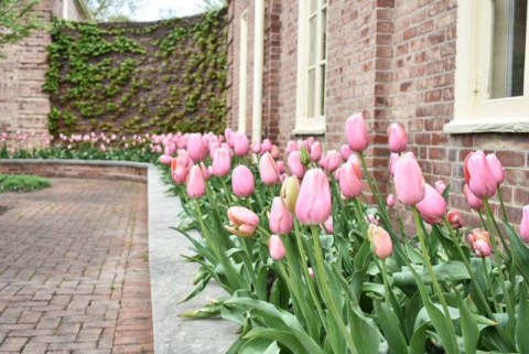 9 Gardens Near Cleveland That Come To Life With The Arrival Of Spring
