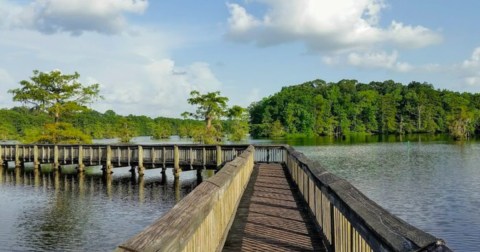 Visit The Lake Chicot Loop Trail In Louisiana For A Beautiful Waterside Springtime Hike