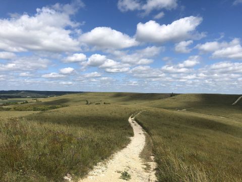 Get Your Dose Of Vitamin D On The Godwin Hill Loop Trail In Kansas