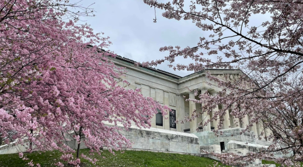 Buffalo’s Annual Cherry Blossom Festival Belongs On Your Springtime Bucket List