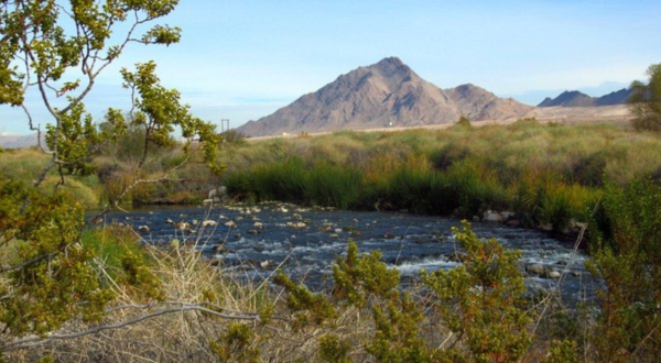 Visit The Clark County Wetlands Park In Nevada For A Beautiful Waterside Springtime Hike