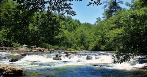 Visit The Amicalola River Trail In Georgia For An Epic Waterside Springtime Hike