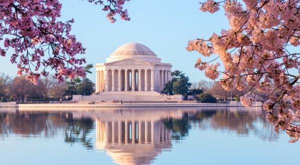 Here Are Some Helpful Tips For Experiencing The Cherry Blossoms In Washington D.C.