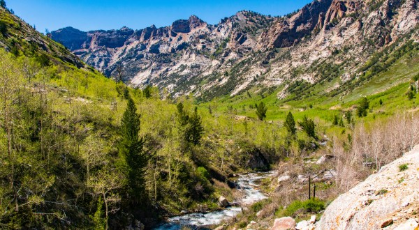 8 Breathtaking Photos That Prove Spring In Nevada Is The Most Beautiful Time Of Year
