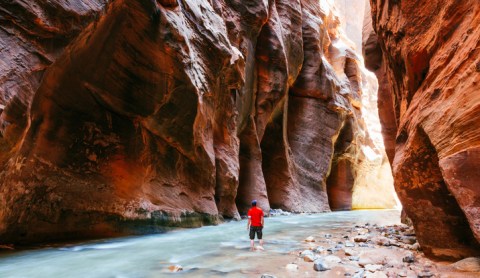 The Zion Narrows Trail Is One Of America's Best Trails, But It's Not For Everyone