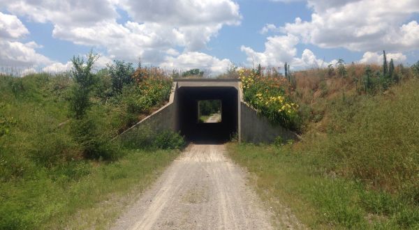 The Remote Hike To Garden Plain In Kansas Winds Through Tunnels Galore