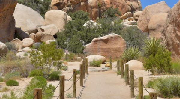 Take An Easy Loop Trail To Enter Another World At Hidden Valley Nature Trail In Southern California
