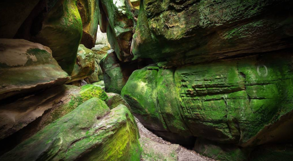 The Sandstone Labyrinth In Virginia’s Channels Natural Area Preserve Looks Like Something From Another Planet