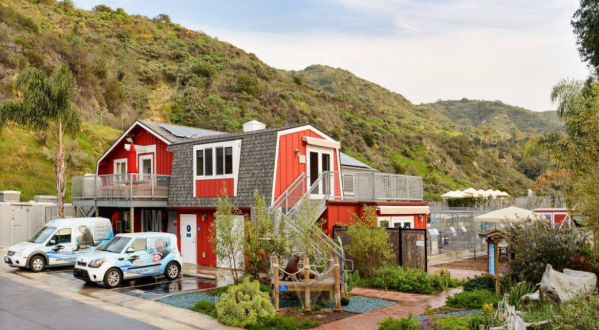 The Pacific Marine Mammal Center In Southern California Where You Can Visit With Rescued Sea Lions And Seals