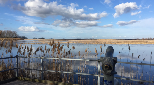 Get To Know Delaware’s Coastal Marshes When You Explore Bombay Hook National Wildlife Refuge