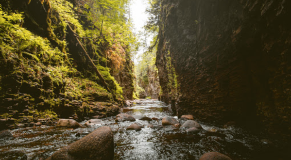 Take An Easy Out-And-Back Trail To Enter Another World At Kadunce River In Minnesota