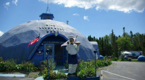 Wild Blueberry Land In Maine Just Might Be The Strangest Roadside Attraction Yet
