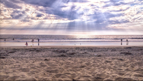 The Amazing Sand Dollar Beach, Silver Strand State Beach, Every Southern Californian Will Want To Visit
