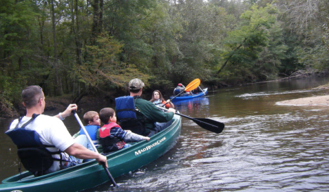 Spend An Afternoon Taking A Delightful Kayak Paddling Tour Through Lynches River In South Carolina This Spring