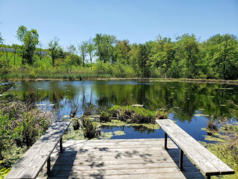 Get Away From It All With A Hike On The Lost Pond Trail In Massachusetts