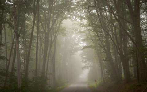 Of All The Best Scenic Drives In Maine, A Journey Down Route 182 Is One With A Spooky Twist