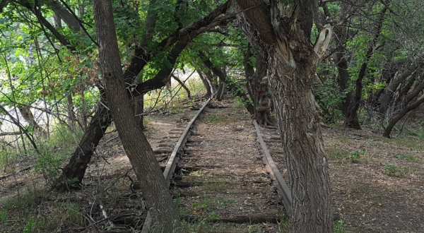 Walk Alongside A River, Abandoned Railroad Track, And More On The Bison Plant Trail In North Dakota