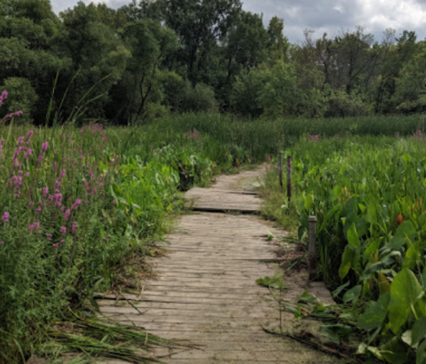 Watch For Signs Of Spring On Display As You Walk The Trails At Crosby Farm Regional Park In Minnesota