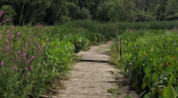 Watch For Signs Of Spring On Display As You Walk The Trails At Crosby Farm Regional Park In Minnesota