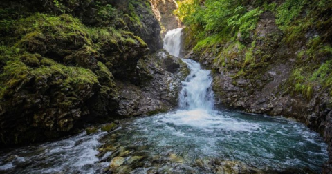 Take An Easy Out-And-Back Trail To Enter Another World At Thunderbird Falls In Alaska