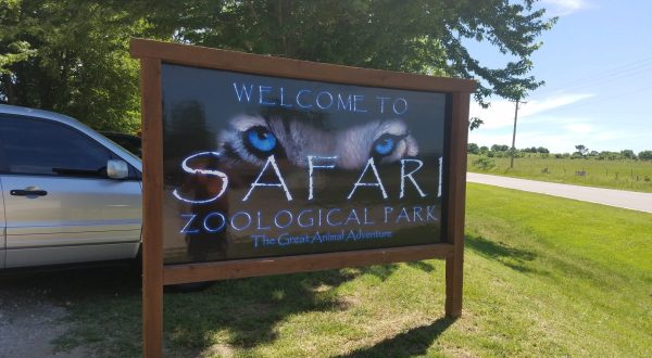 Play With Animals One-On-One At Safari Zoological Park In Kansas For An Adorable Adventure