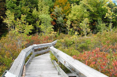 The Simsbury Land Trust Bog Trail In Connecticut Leads To Incredibly Scenic Views