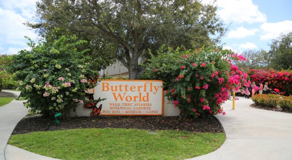 Butterfly World Of Florida Is Home To The State’s Largest Butterfly House And Maze
