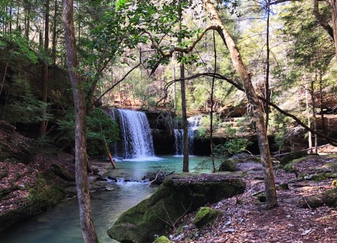 Be In Awe Of The Natural Beauty Found On This Short, Secluded Hike In Alabama's William B. Bankhead National Forest
