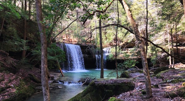 Be In Awe Of The Natural Beauty Found On This Short, Secluded Hike In Alabama’s William B. Bankhead National Forest