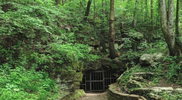 Visit One Of America’s Coolest Caves At Tumbling Rock Cave Preserve In Alabama