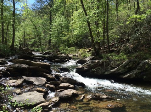 The Remote Trail Through The Cheaha Wilderness In Alabama Winds Through A Lush Forest And Along A Rushing Creek