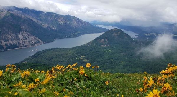 5 Beautiful Hiking Trails In Washington’s Columbia River Gorge, Where Spring Comes Early