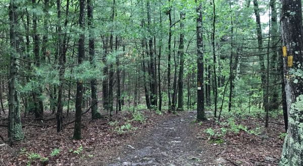 The Tranquil Forest Preserve That Runs Right Through A Rhode Island Town