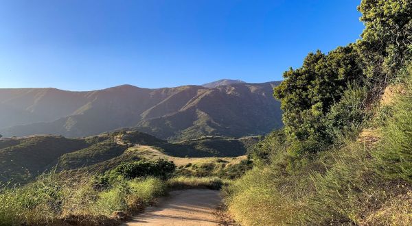 The Refreshing Nature Trail In Southern California, At Claremont Hills Wilderness Park, Where You Can Escape From The City