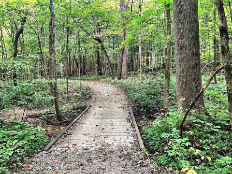 Take An Easy Out-And-Back Trail To Enter Another World At Charleston Falls In Ohio