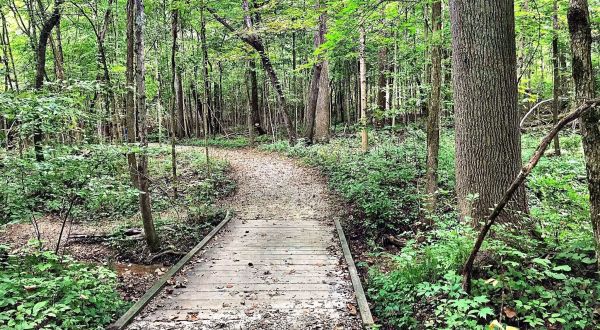 Take An Easy Out-And-Back Trail To Enter Another World At Charleston Falls In Ohio