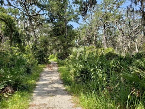 Take An Easy Out-And-Back Trail To Enter Another World At Fort Caroline National Memorial In Florida