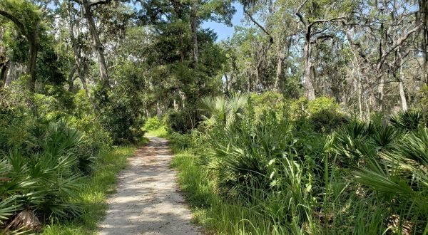 Take An Easy Out-And-Back Trail To Enter Another World At Fort Caroline National Memorial In Florida